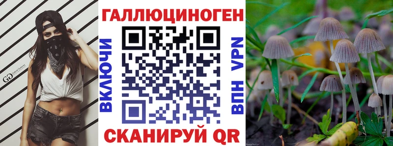 купить Озёры Галлюциногенные грибы Psilocybe